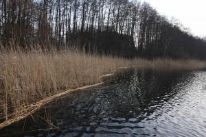 Kleiner See 11. Dezember 2011